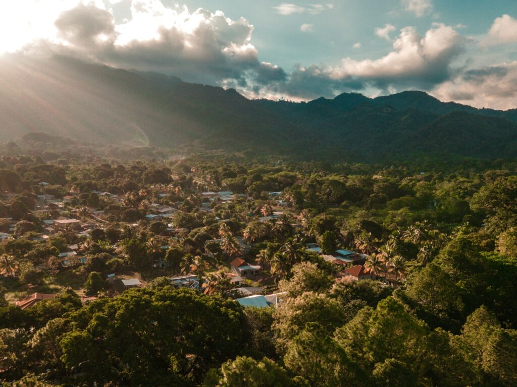 a view of a village in the middle of a forest