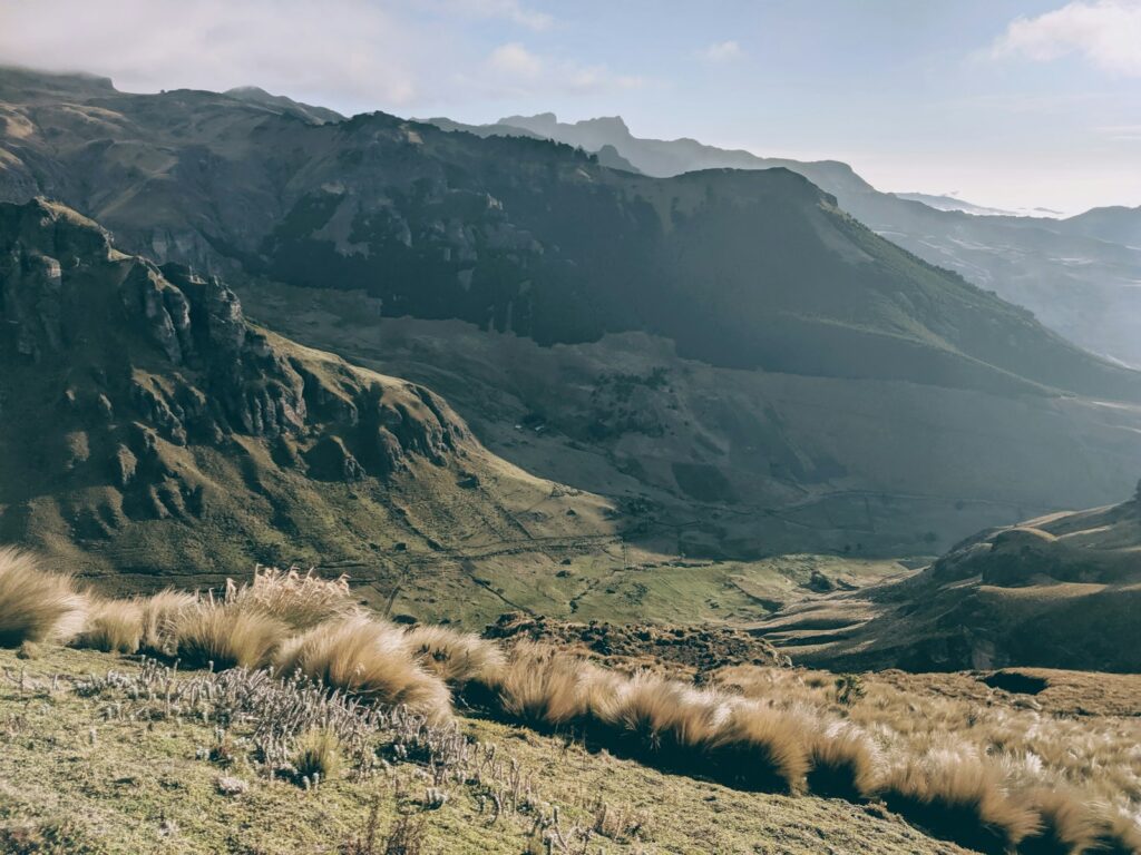 grass and rocky mountains during day